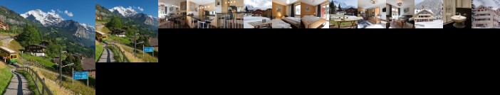 Chalet Brunner apt 3