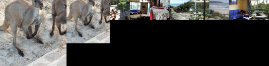 Anchorage Apartments Island Beach