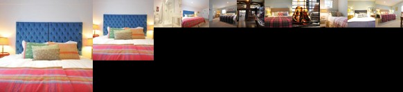 Bel and the Dragon-Reading