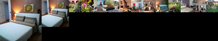 Le ginestre Caselle Torinese