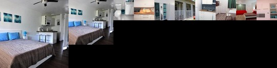 All New Miami Beach Studio