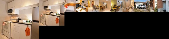 Deluxe 1 bedroom Apartment