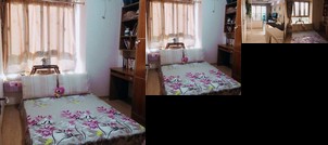 Christmas House Female Only