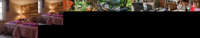 Vita Krala holiday home Rodehuis