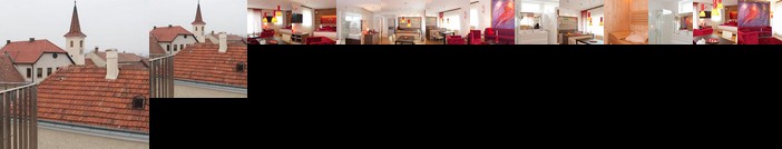 Deluxe Apartment Sonnleitner - ADULTS ONLY