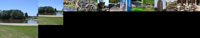 Bungalow Groene Ster