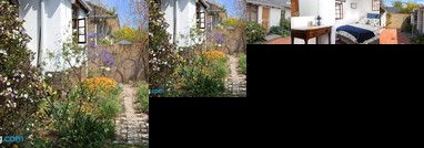 Springbank Guest Suite