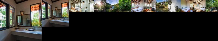 Rest Pause Rainforest