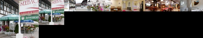 Seebach-Hotel
