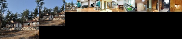 Sonamo Forest Pension