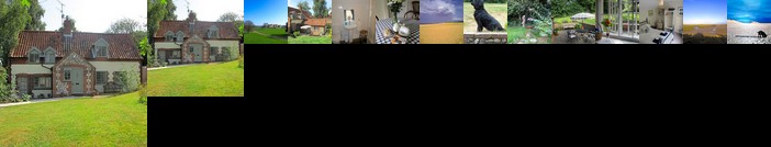 No 52 'Sea Holly' Holkham