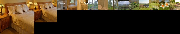 Bryn Hebog Carmarthen