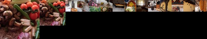 Pensiunea Casa Godja