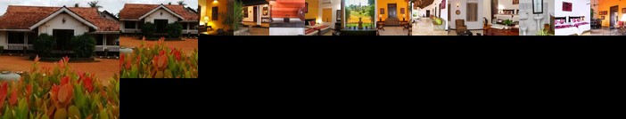 The Margosa Bongo Stay