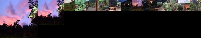 Bali Tree House Pelangi