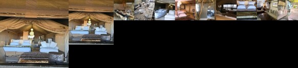 Thulani Game Lodge & Eco Estate