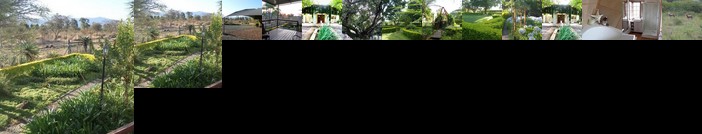 Rose & Ivy Guesthouse