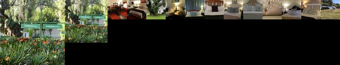 President Paul Kruger Guest Lodge