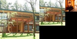 Caro Foresta Yamanakako