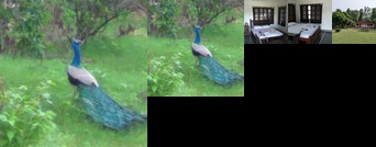 Ranakpur nature retreat