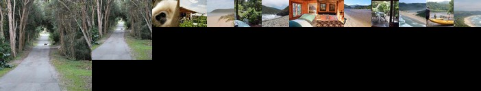 Hide away in the Forest