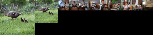 Alpenhaus Ganser-Dixit