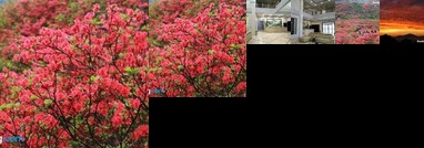 Dawei Mountain Wanfu Vacation Hotel