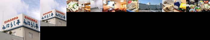 Business Hotel Miharashitei