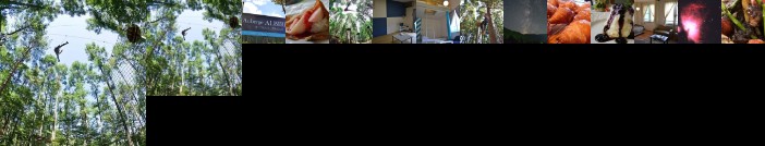 Auberge Albireo Tenmondai