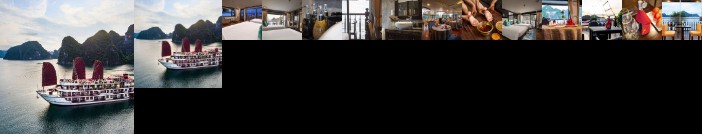 Alisa Premier Cruise