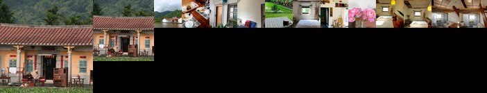 Yellow And Black Guest House