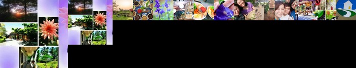 Chuan Ya Ju Homestay