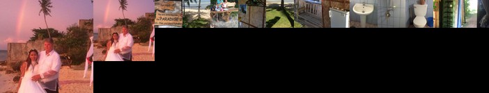 We call it Rainbow Paradise