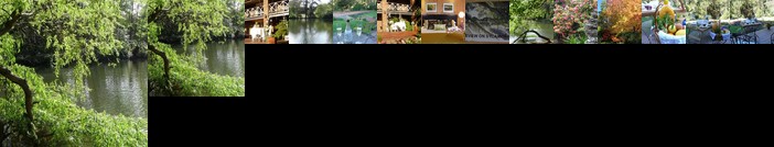 Lakeview On Sycamore