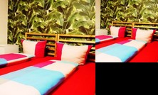 Pension am Volkspark