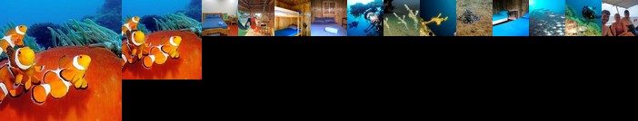 AivyMaes Divers Paradise Resort Dauin