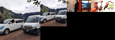 Gallito de las Rocas