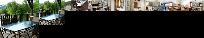 Chalets Alpins - 10 Chemin Blanc Unite A