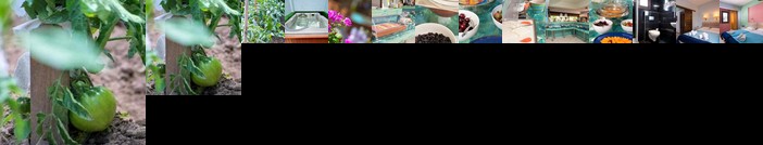 Hotel Pegasus-Adult Friendly