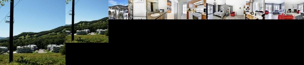 Chalet - 33 Chemin du Hameau 204