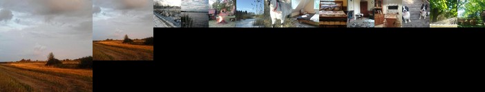 Dziki brzeg Jezioraka