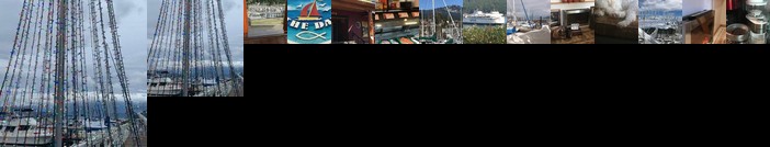 Seas the Day Gibsons