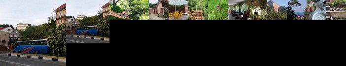 Guest House Paradise Chemitokvadzhe Sochi District