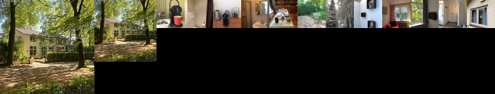 B&B In de aap gelogeerd