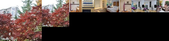 Well Appointed and Modern + Parking