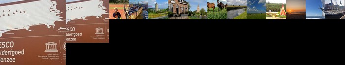 Wattengebiet Entdeckungsreise