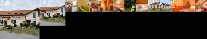 Penzion Vinarna U Hroznu