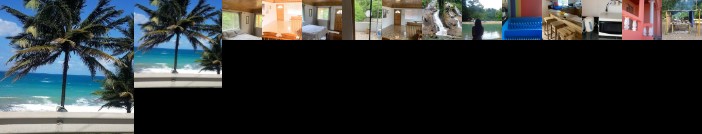 No regrets Services Home