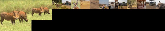 Lake Albert Safari Lodge