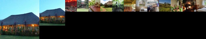 Bushbaby Lodge Mukono